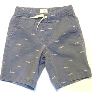 Boys Shark Shorts, Size Medium